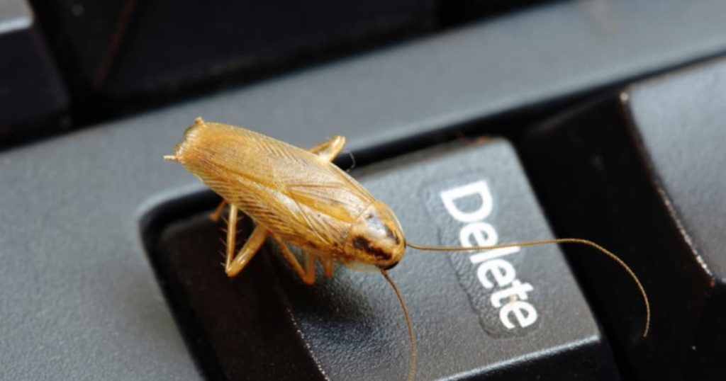 Уничтожение тараканов в офисе в Брянске